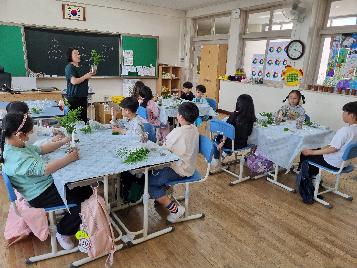 2학년 교내체험학습(테이블야자 식물 화분 만들기)